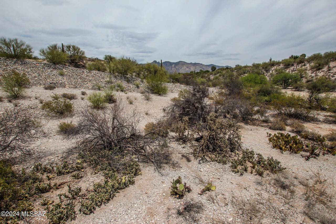 https://bt-photos.global.ssl.fastly.net/tucson/1280_boomver_1_22607795-2.jpg