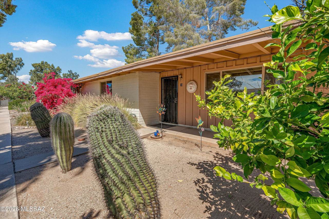 https://bt-photos.global.ssl.fastly.net/tucson/1280_boomver_1_22607947-2.jpg