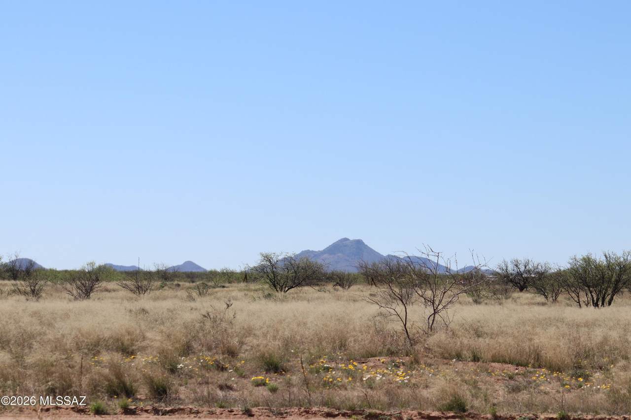 https://bt-photos.global.ssl.fastly.net/tucson/1280_boomver_1_22607980-2.jpg