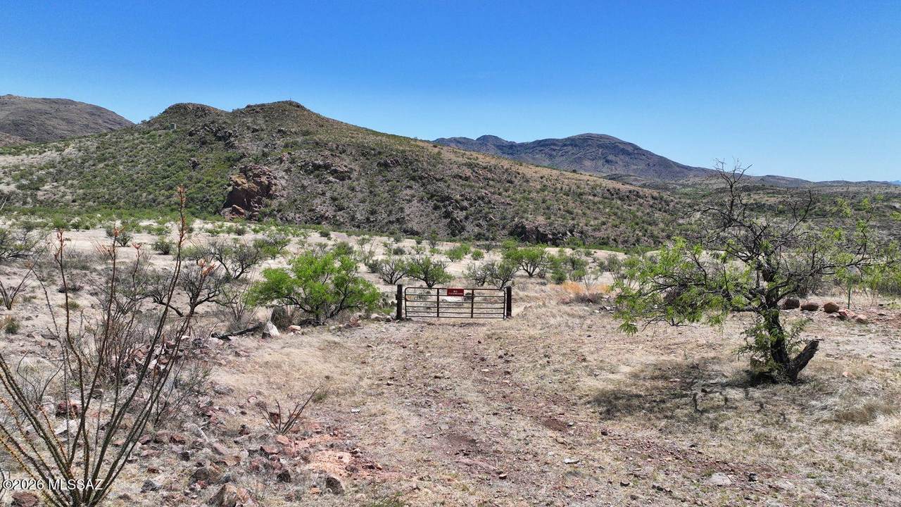 https://bt-photos.global.ssl.fastly.net/tucson/1280_boomver_1_22608037-2.jpg