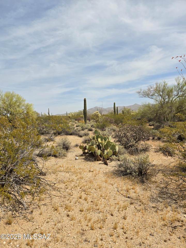https://bt-photos.global.ssl.fastly.net/tucson/1280_boomver_1_22608102-2.jpg