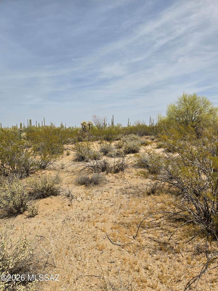 https://bt-photos.global.ssl.fastly.net/tucson/1280_boomver_1_22608102-2.jpg