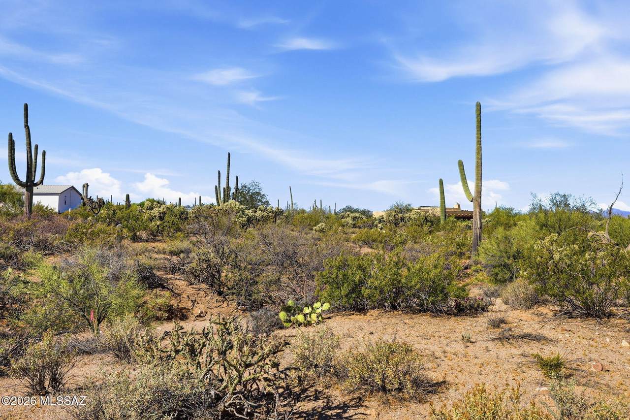https://bt-photos.global.ssl.fastly.net/tucson/1280_boomver_1_22608219-2.jpg