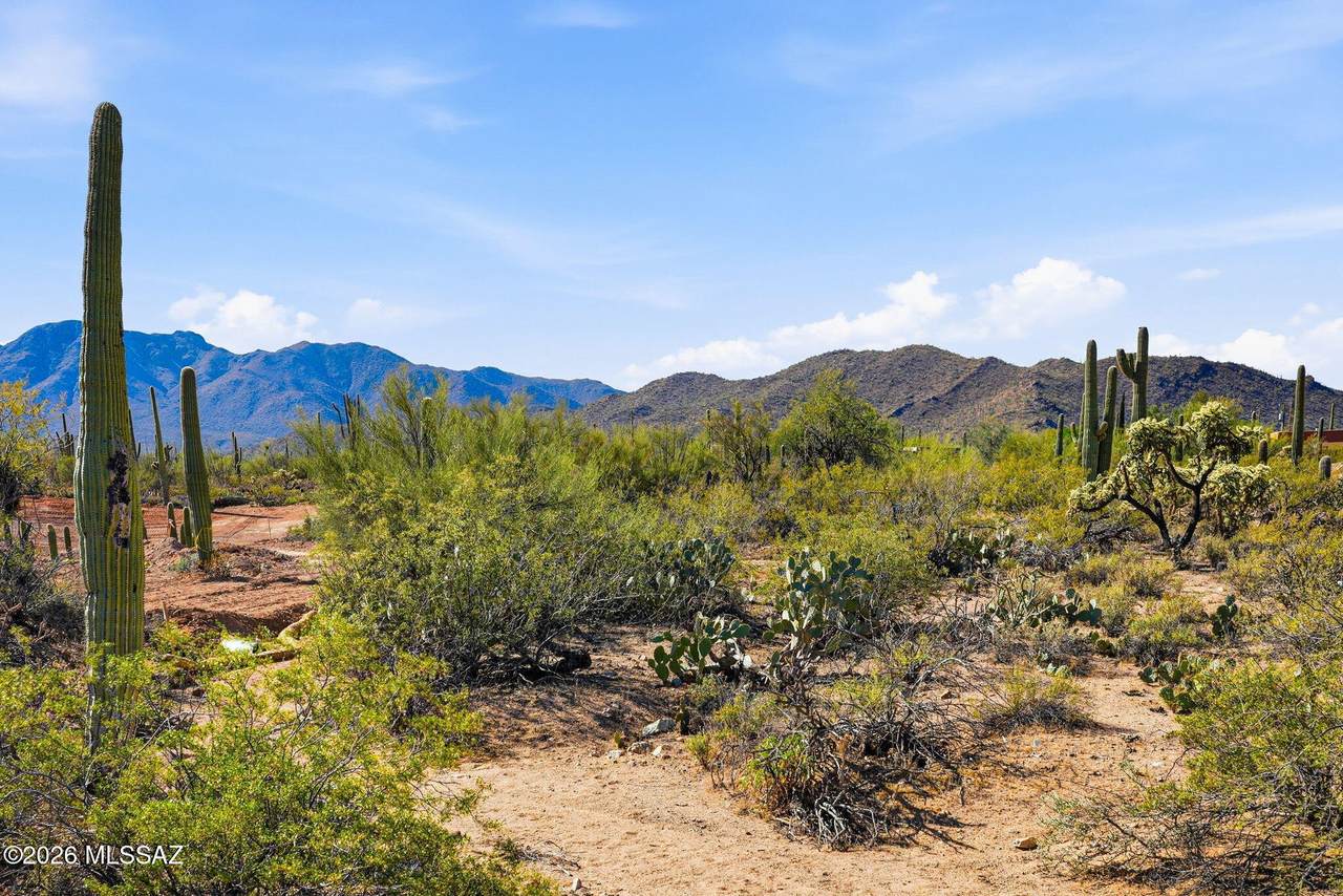 https://bt-photos.global.ssl.fastly.net/tucson/1280_boomver_1_22608222-2.jpg