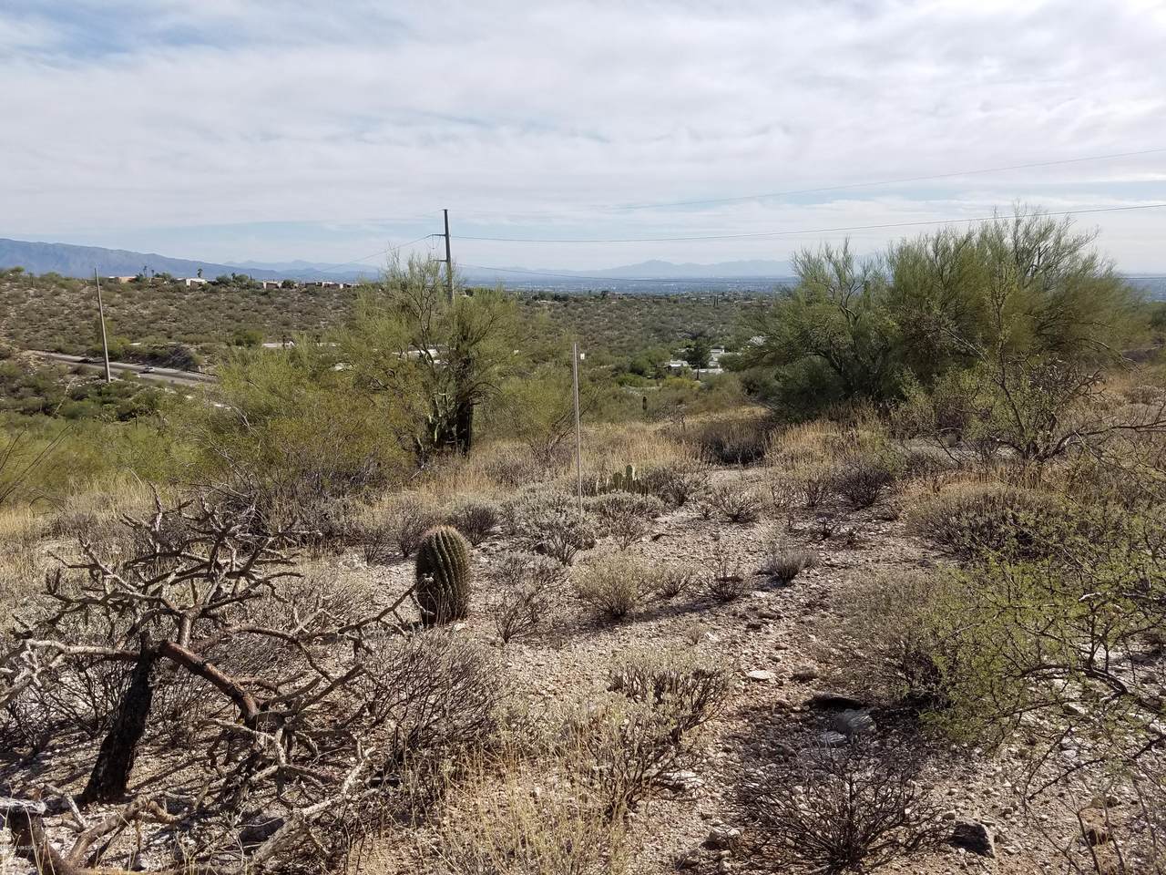 https://bt-photos.global.ssl.fastly.net/tucson/1280_boomver_1_22608294-2.jpg