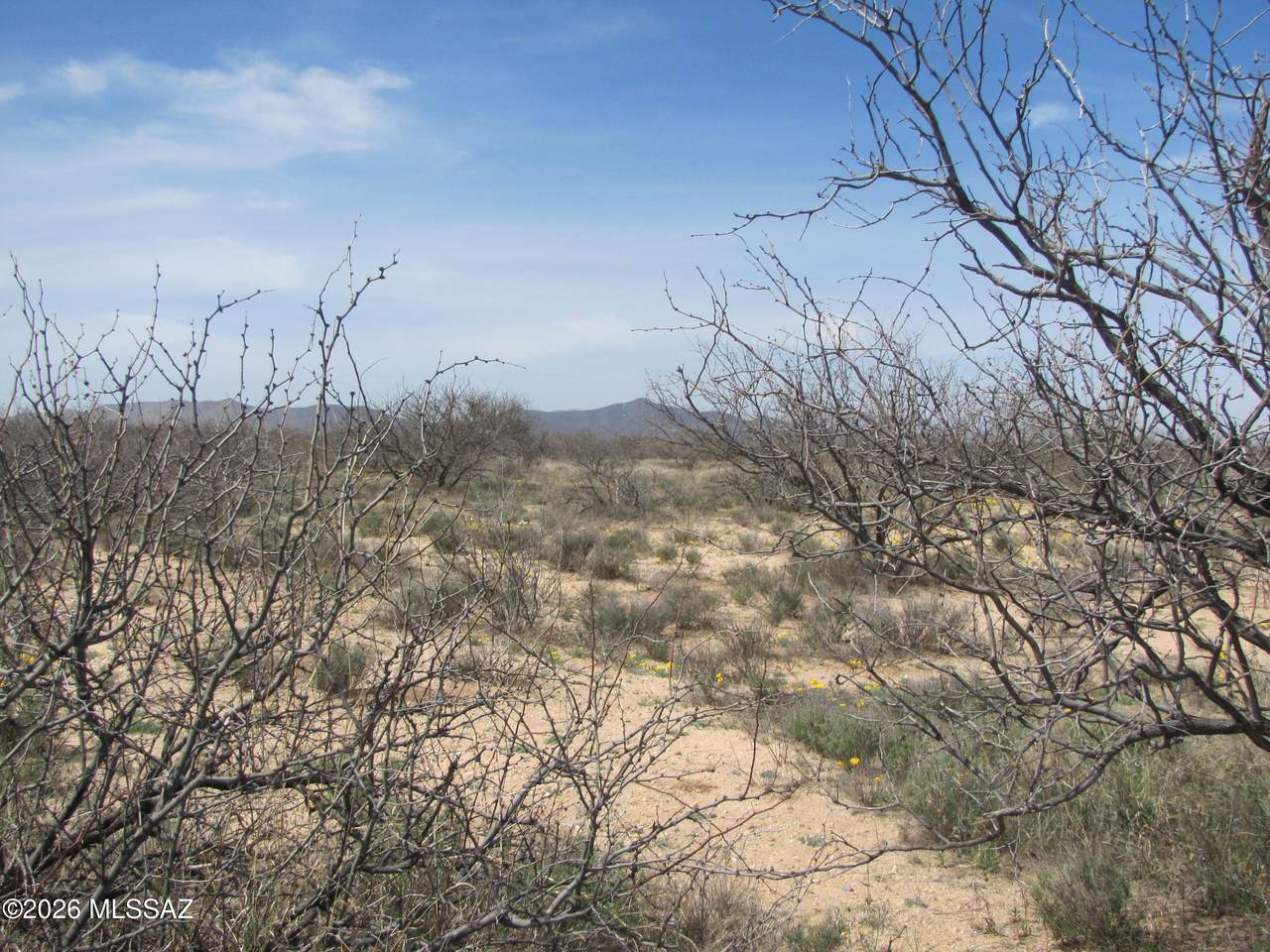 https://bt-photos.global.ssl.fastly.net/tucson/1280_boomver_1_22608395-2.jpg
