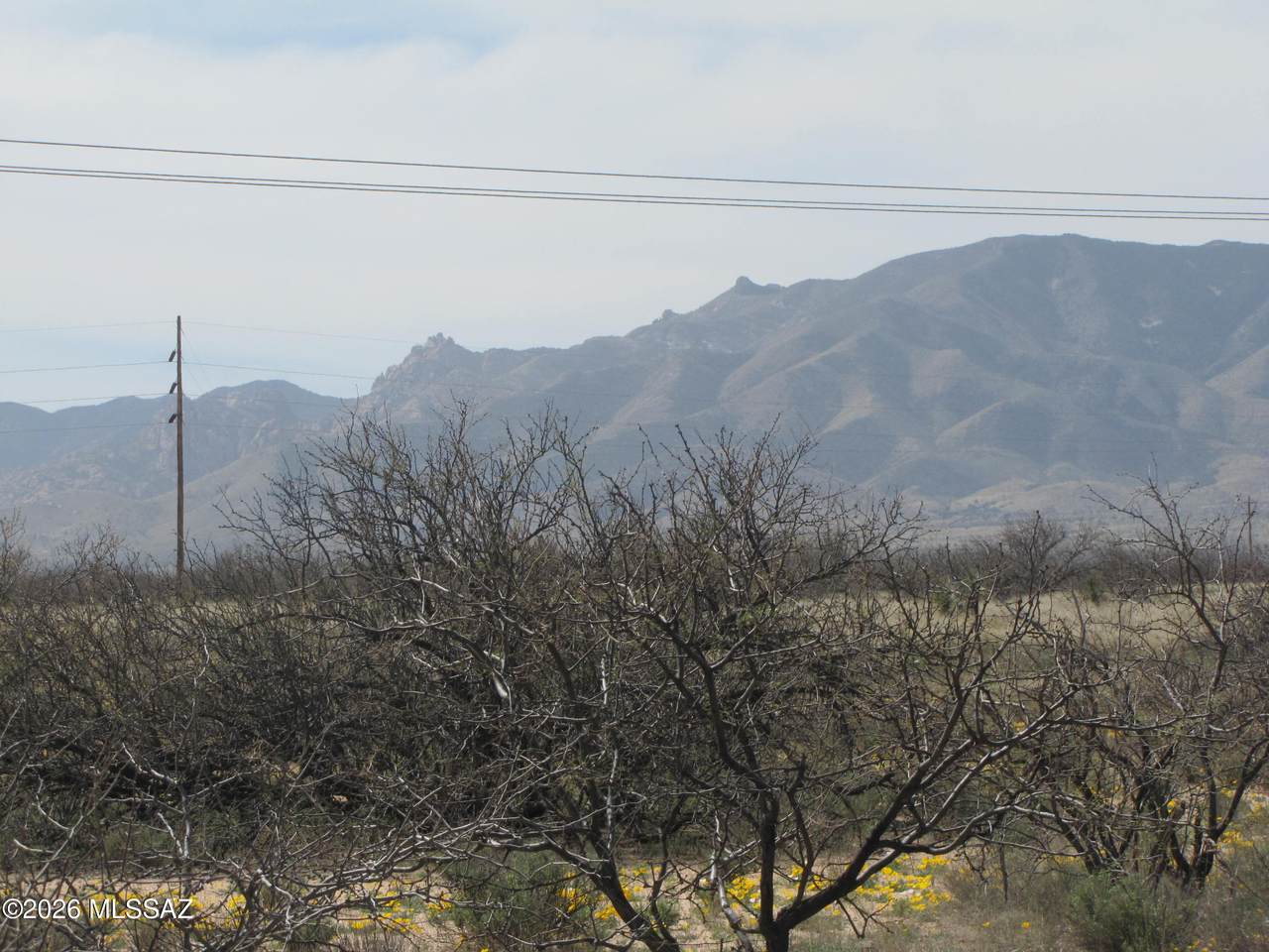 https://bt-photos.global.ssl.fastly.net/tucson/1280_boomver_1_22608395-2.jpg