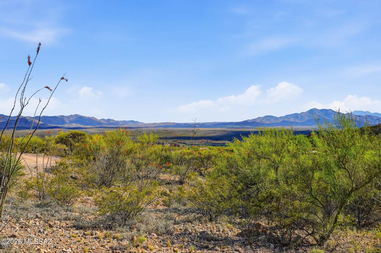 https://bt-photos.global.ssl.fastly.net/tucson/1280_boomver_1_22608772-2.jpg