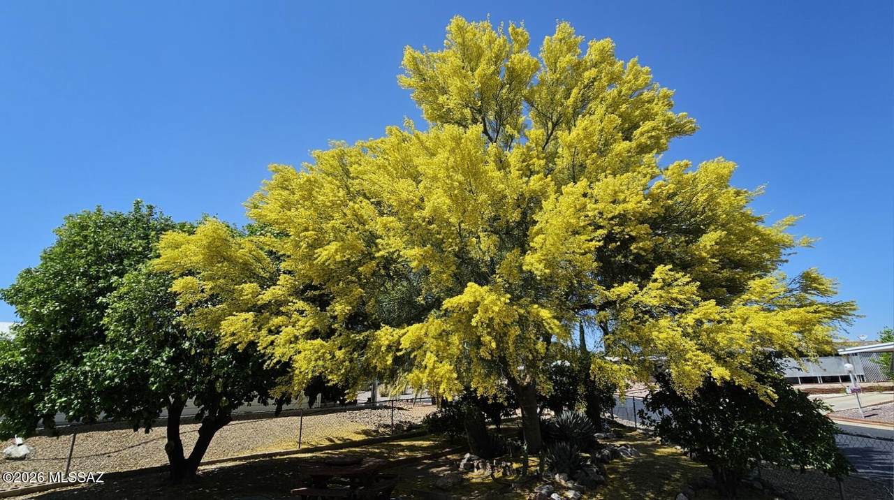 91 Olive Drive - Photo 1