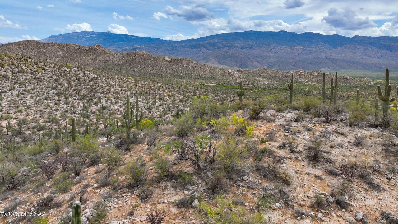 https://bt-photos.global.ssl.fastly.net/tucson/1280_boomver_1_22608946-2.jpg