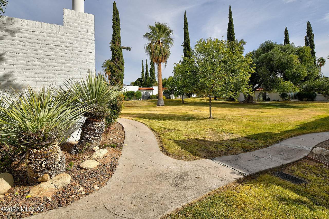 https://bt-photos.global.ssl.fastly.net/tucson/1280_boomver_1_22609212-2.jpg