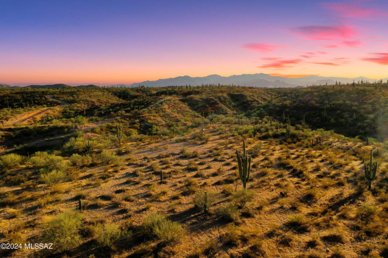 13725 San Pedro River Road - Photo 1