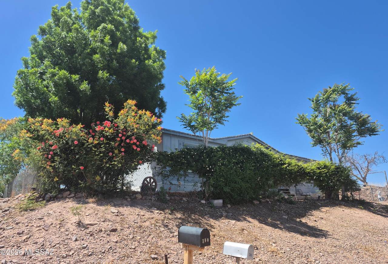 385 Hackberry Drive - Photo 1