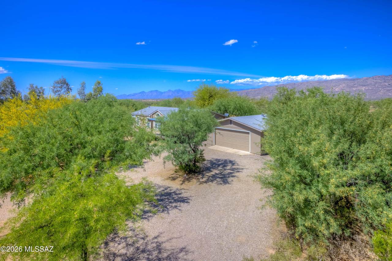 13675 Crazy Horse Trail - Photo 1