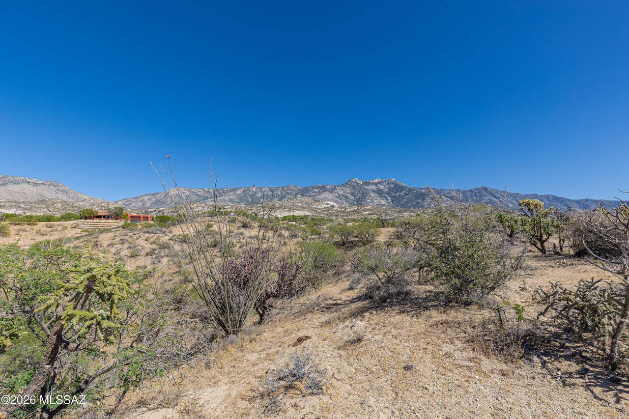 https://bt-photos.global.ssl.fastly.net/tucson/1280_boomver_1_22610011-2.jpg