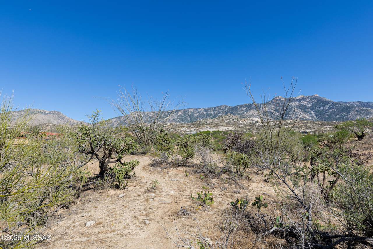 https://bt-photos.global.ssl.fastly.net/tucson/1280_boomver_1_22610012-2.jpg