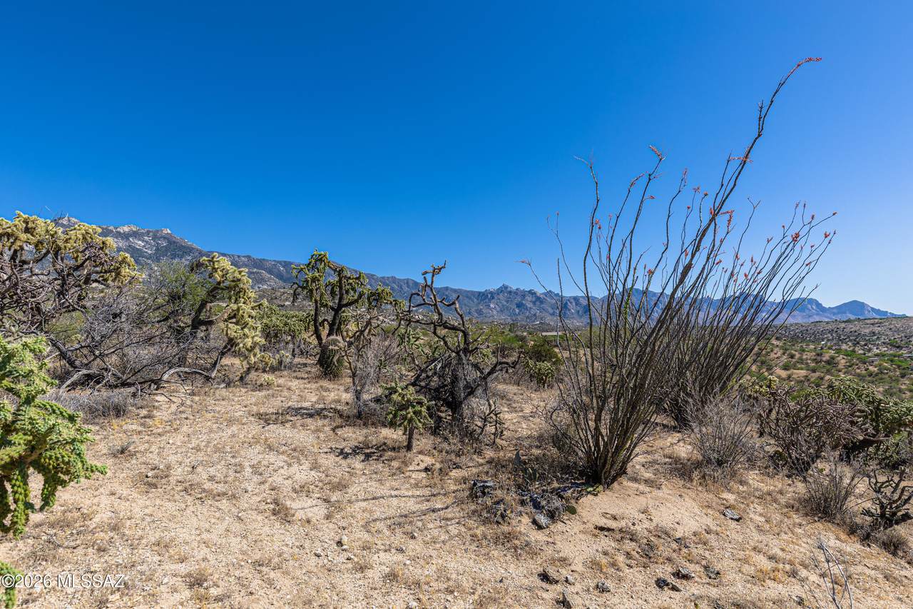 https://bt-photos.global.ssl.fastly.net/tucson/1280_boomver_1_22610014-2.jpg