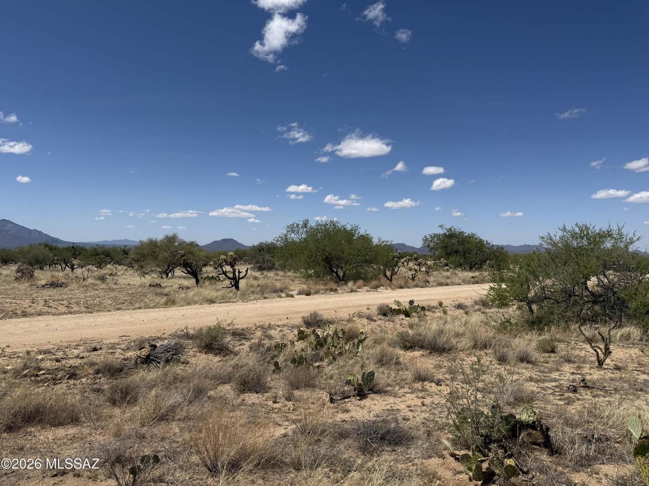https://bt-photos.global.ssl.fastly.net/tucson/1280_boomver_1_22610116-2.jpg