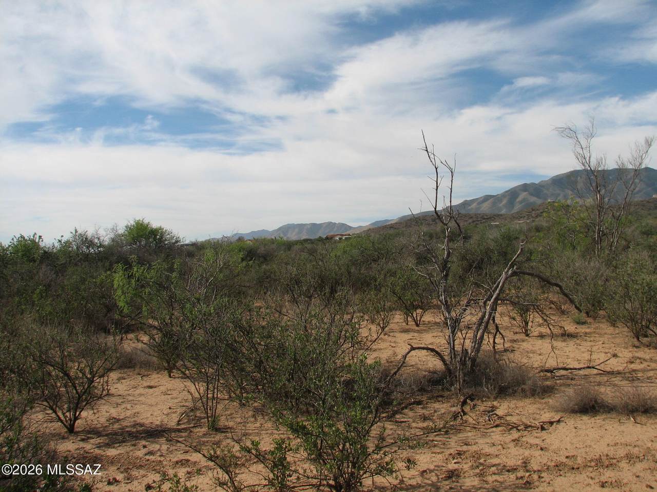 https://bt-photos.global.ssl.fastly.net/tucson/1280_boomver_1_22610218-2.jpg