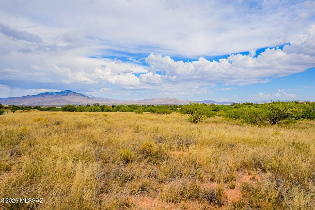 TBD Horse Ride Loop - Photo 1
