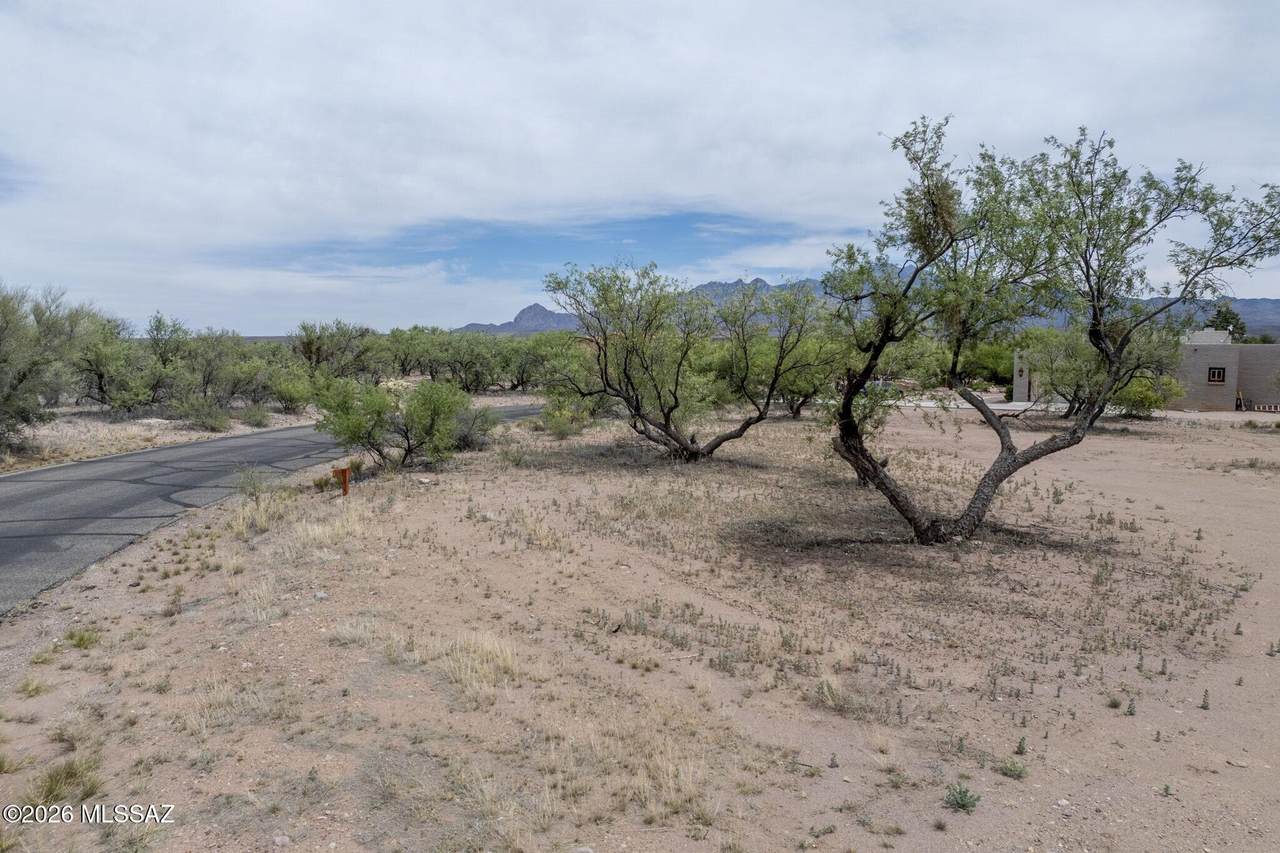 https://bt-photos.global.ssl.fastly.net/tucson/1280_boomver_1_22610304-2.jpg