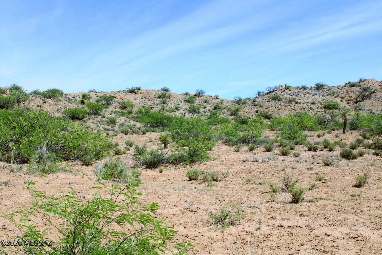 https://bt-photos.global.ssl.fastly.net/tucson/1280_boomver_1_22610493-2.jpg