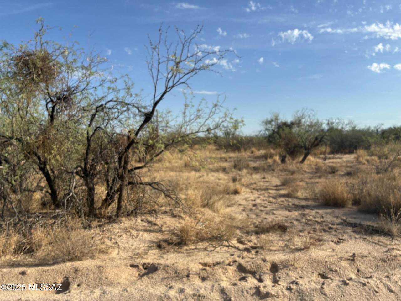 https://bt-photos.global.ssl.fastly.net/tucson/1280_boomver_1_22610598-2.jpg