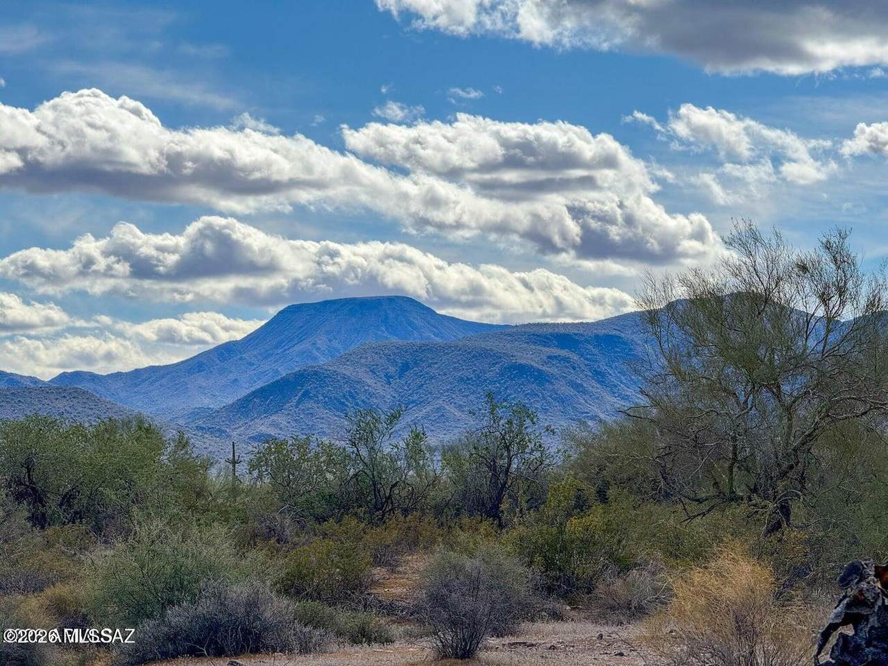 0 Almendra Rd Lot E (1.67 Acres) - Photo 1