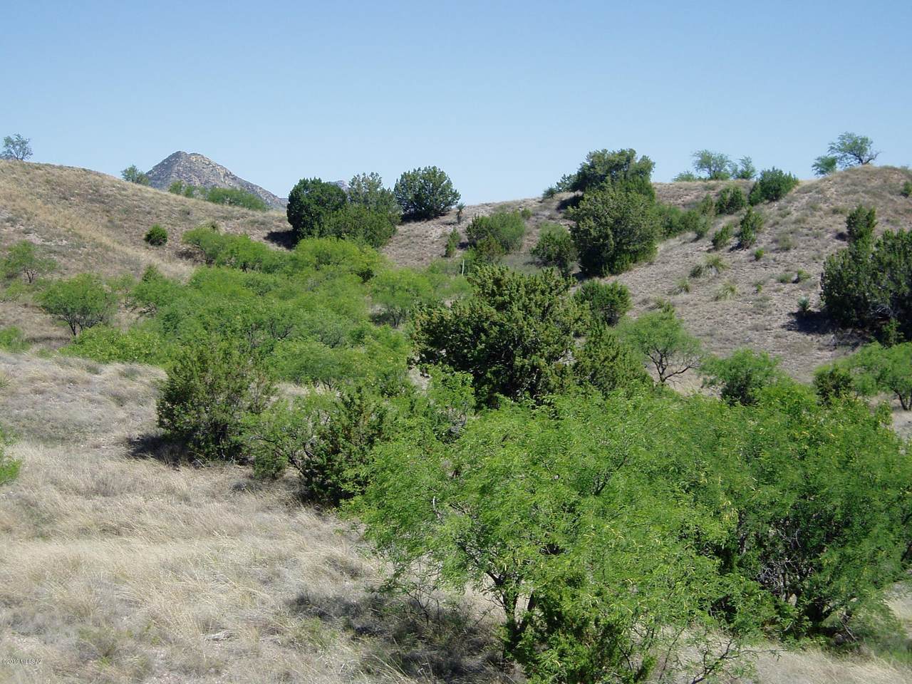 https://bt-photos.global.ssl.fastly.net/tucson/1280_boomver_1_22610907-2.jpg