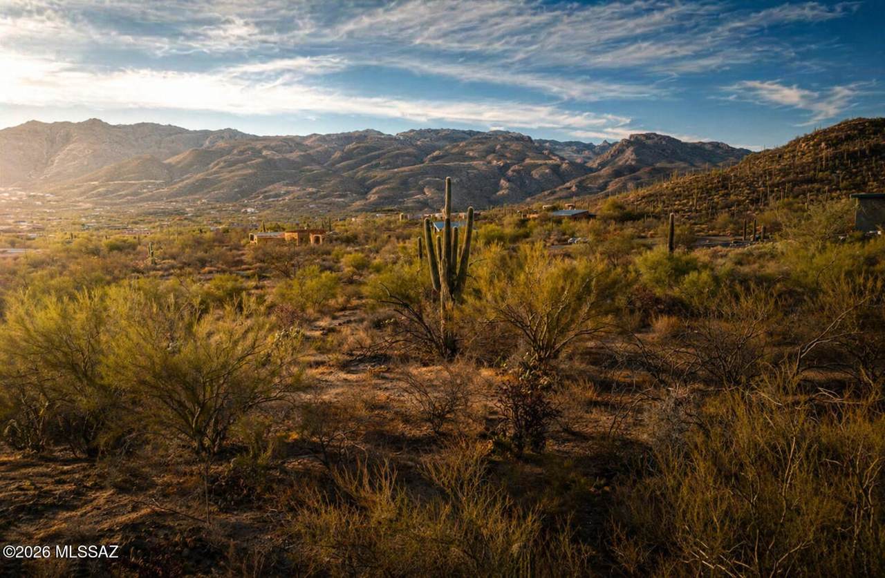 https://bt-photos.global.ssl.fastly.net/tucson/1280_boomver_1_22611028-2.jpg