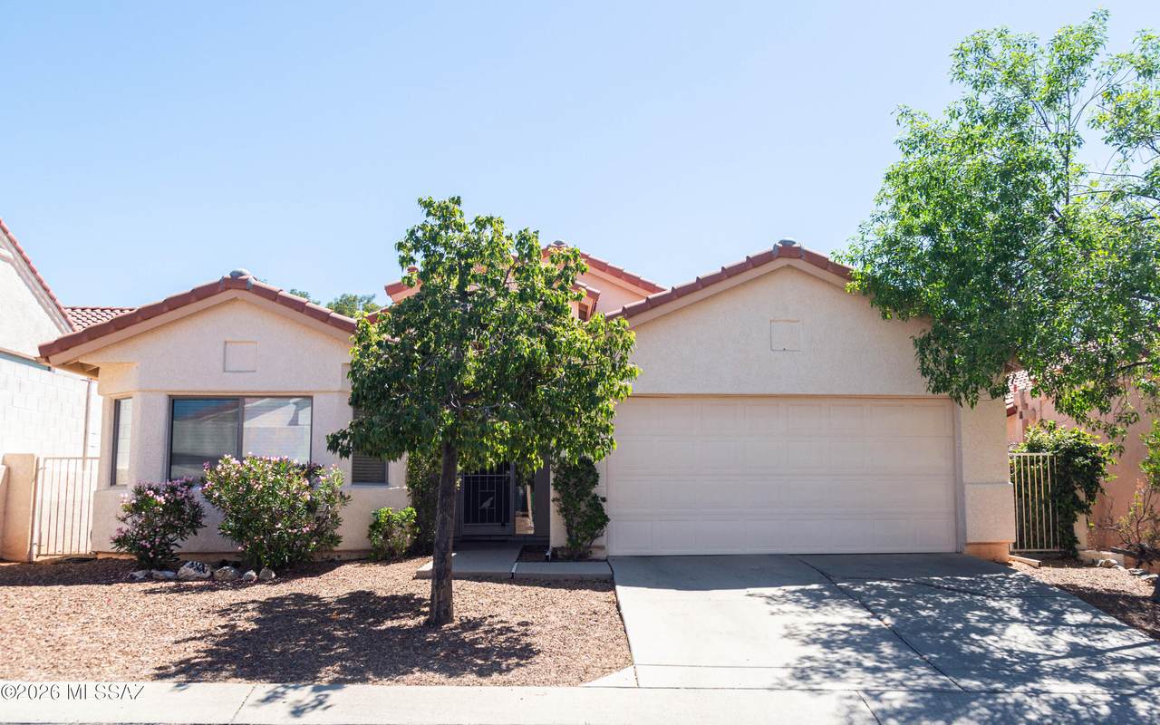 11146 Desert Flower Drive - Photo 1