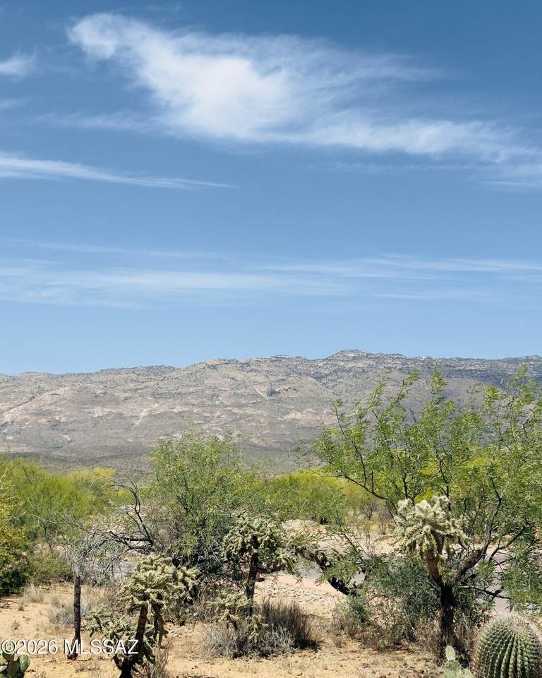 7910 Diamond K Ranch Place - Photo 1