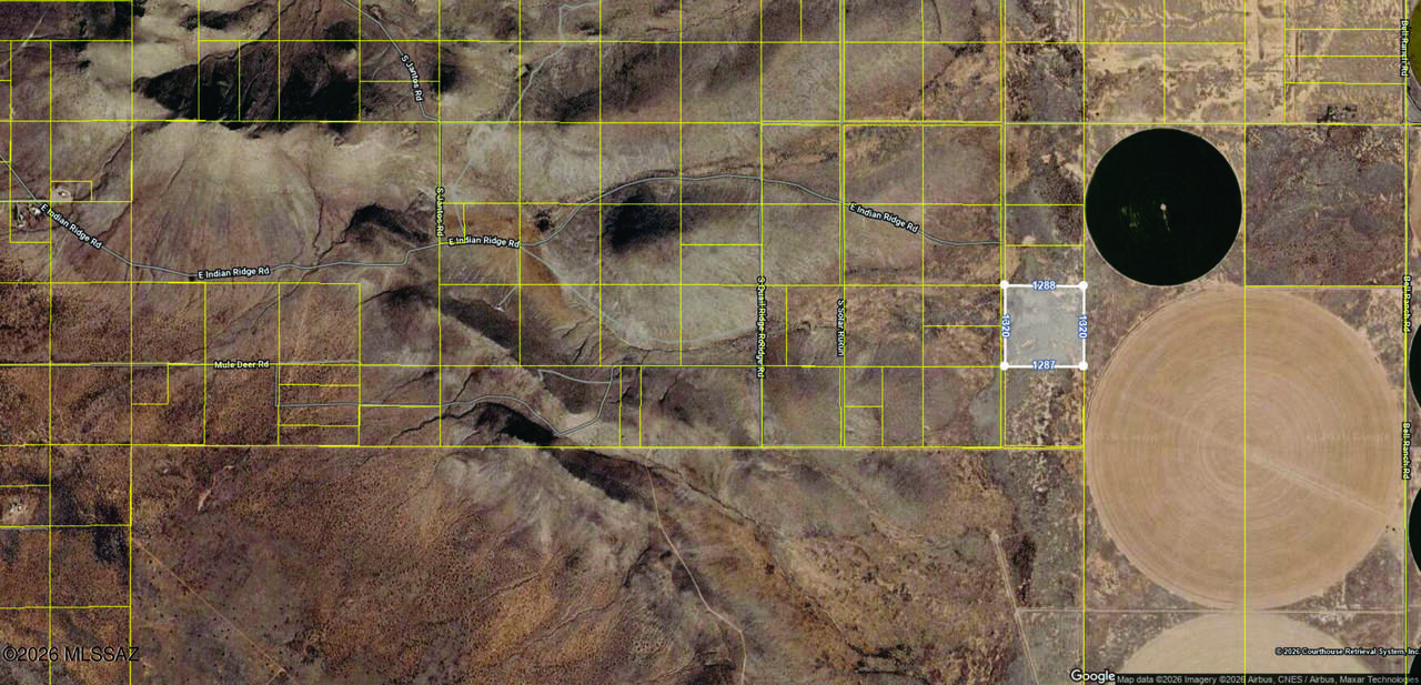 399 Acre Indian Ridge Road - Photo 1