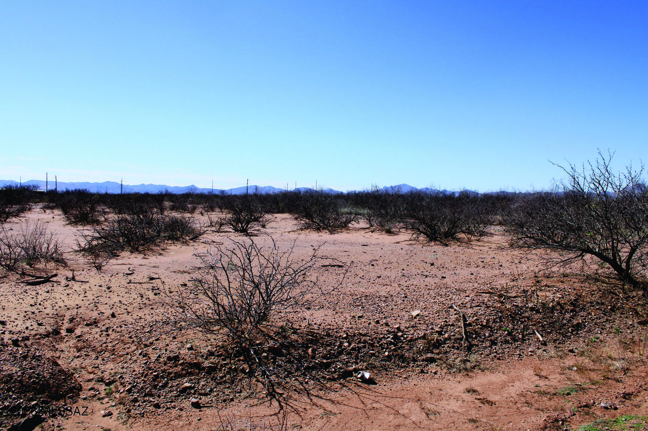 .22 Acre Mesa Court - Photo 1