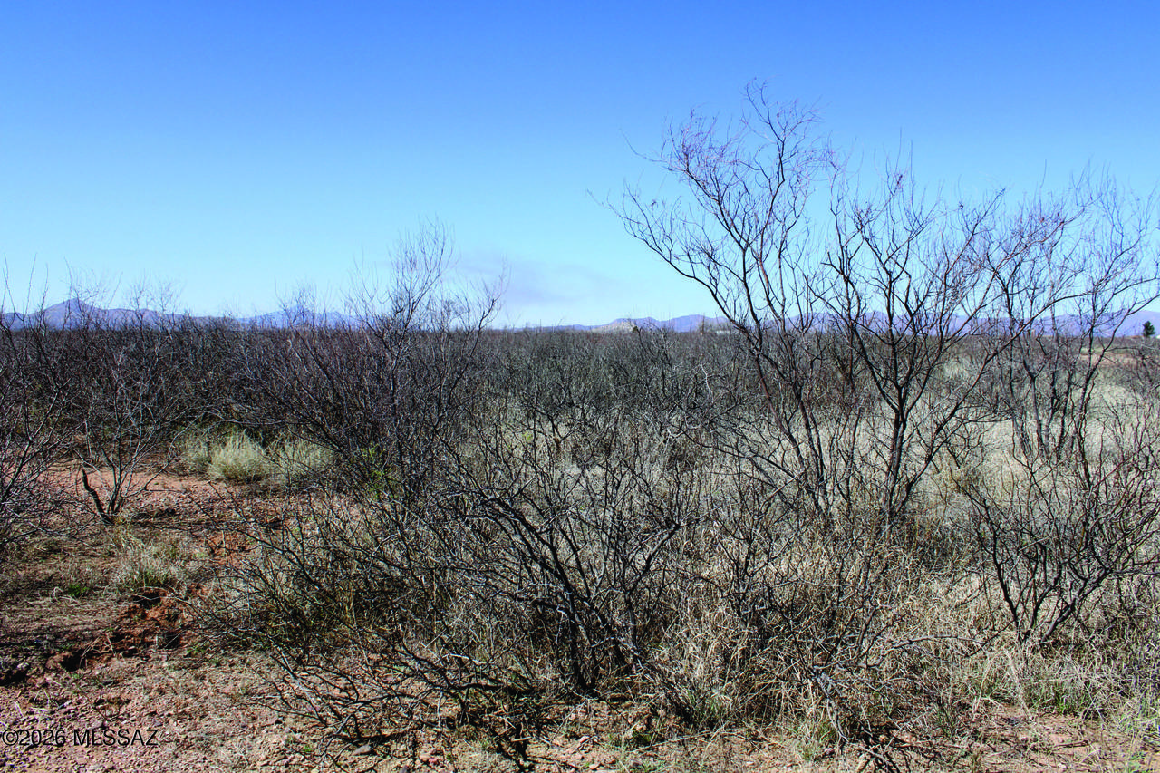 https://bt-photos.global.ssl.fastly.net/tucson/1280_boomver_1_22611151-2.jpg