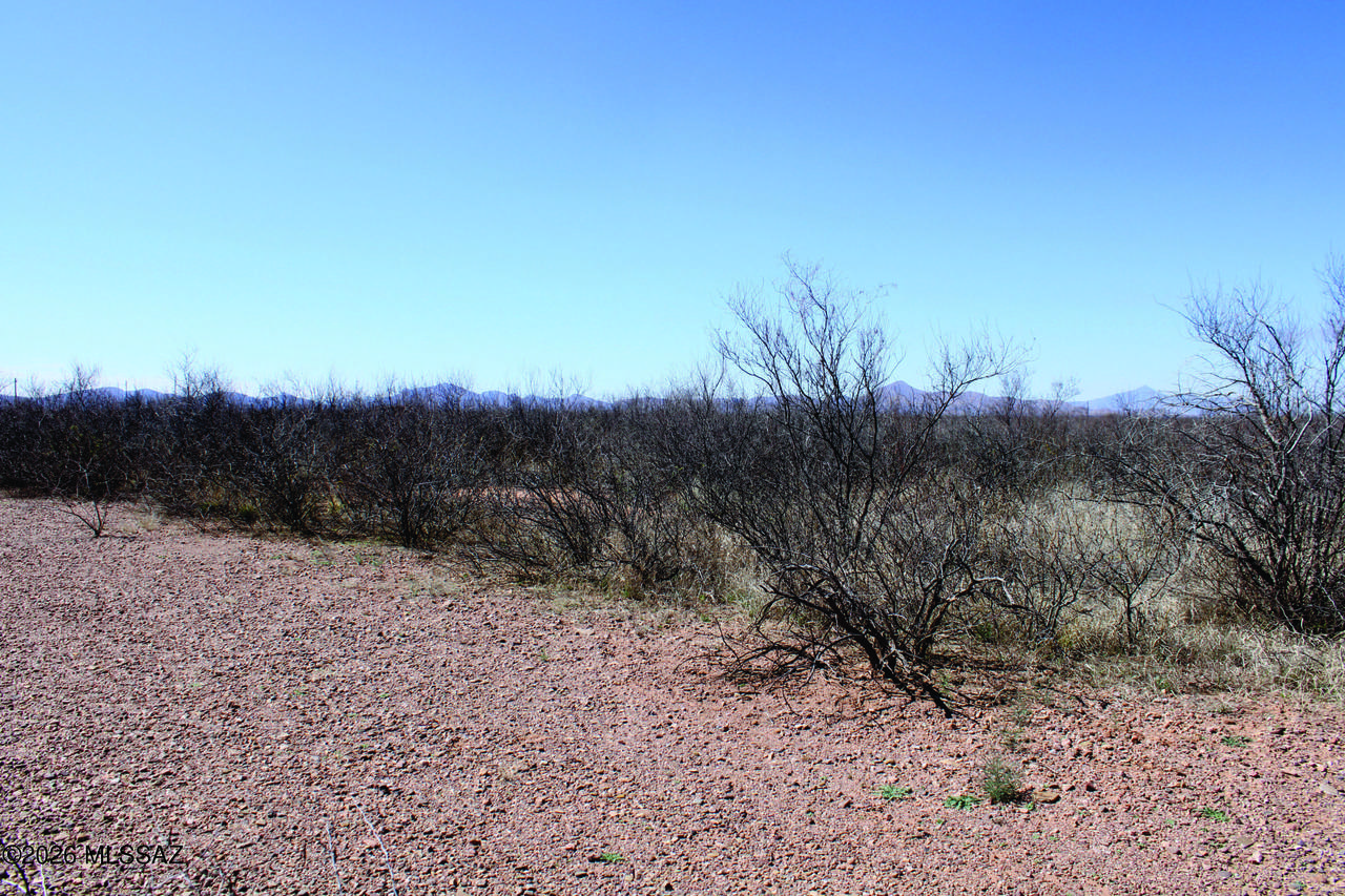 https://bt-photos.global.ssl.fastly.net/tucson/1280_boomver_1_22611151-2.jpg