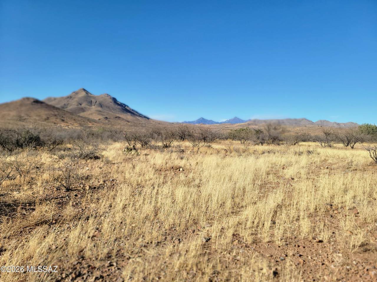 https://bt-photos.global.ssl.fastly.net/tucson/1280_boomver_1_22611176-2.jpg