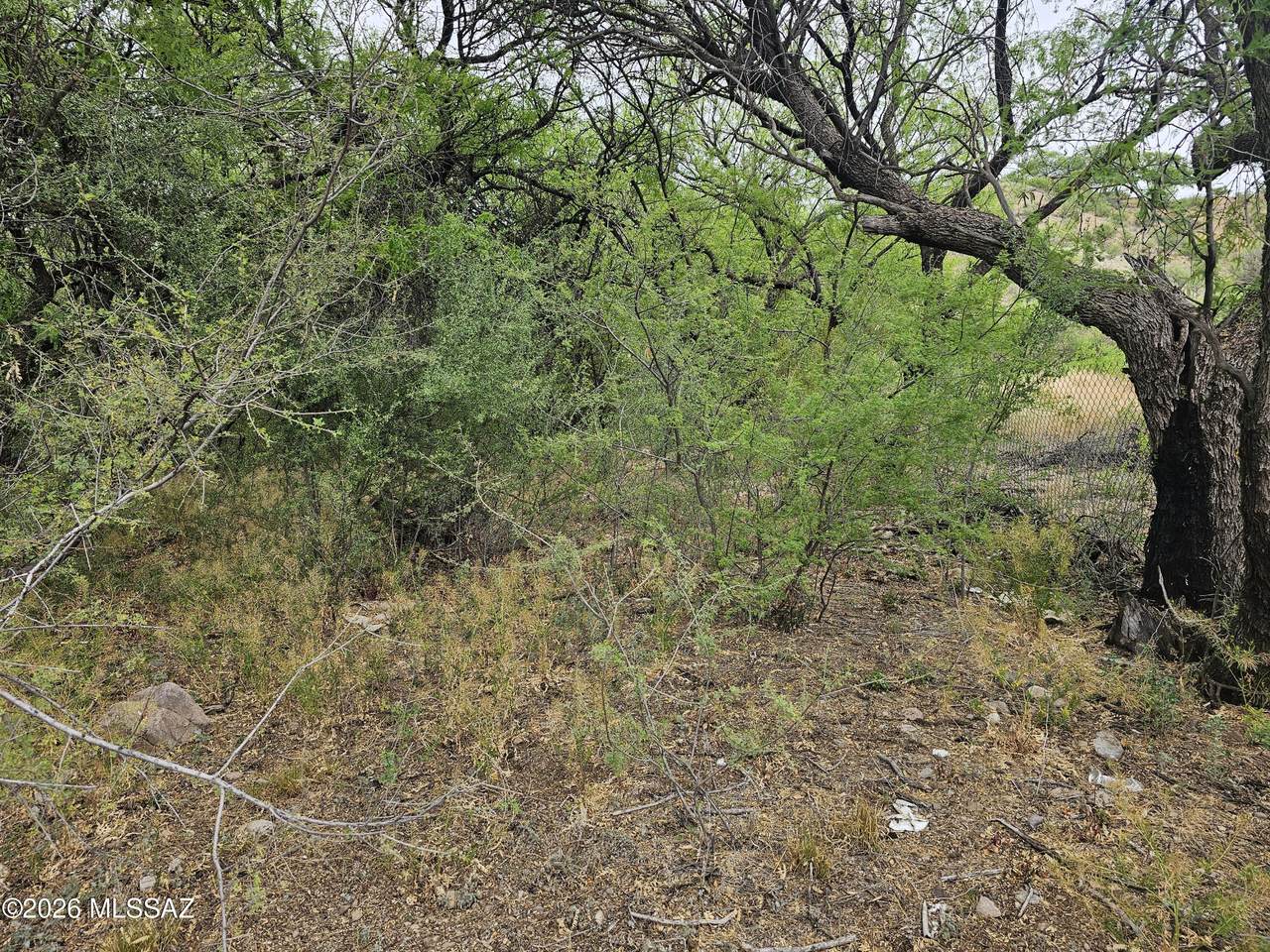 https://bt-photos.global.ssl.fastly.net/tucson/1280_boomver_1_22611254-2.jpg