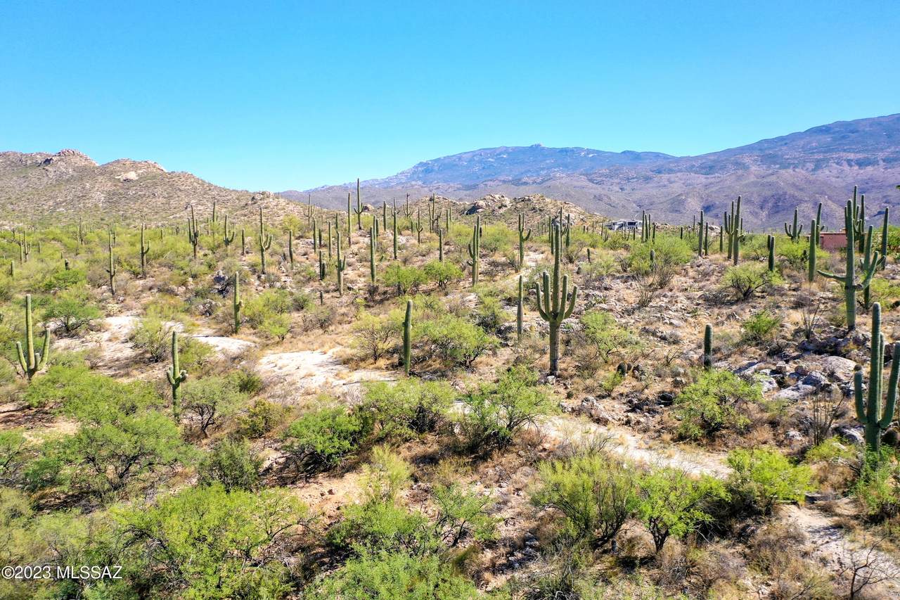 https://bt-photos.global.ssl.fastly.net/tucson/1280_boomver_1_22611265-2.jpg