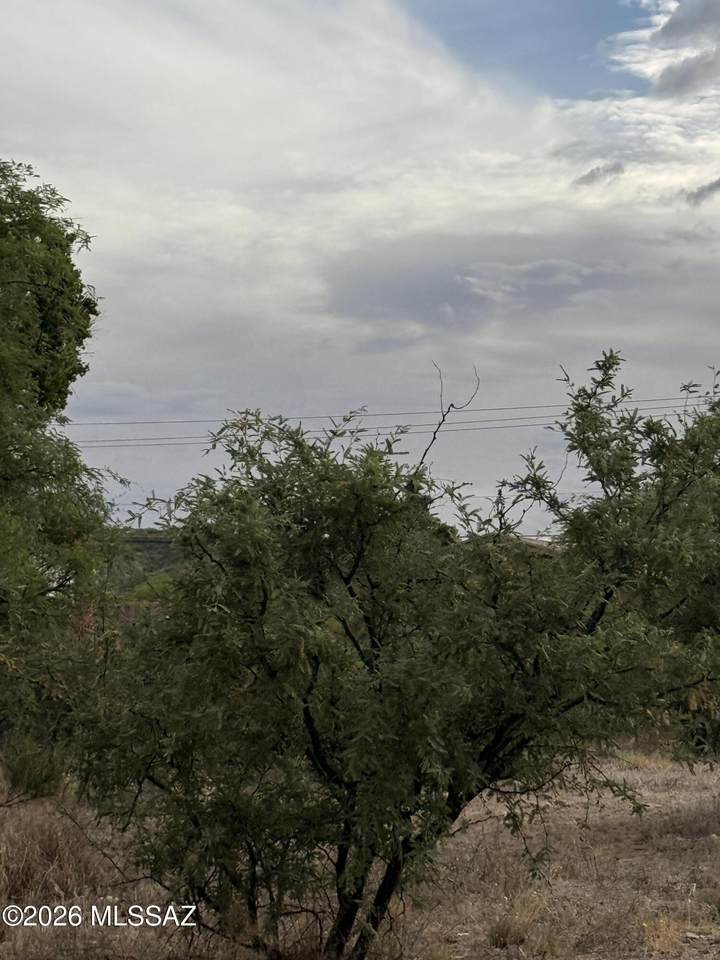 https://bt-photos.global.ssl.fastly.net/tucson/1280_boomver_1_22611279-2.jpg