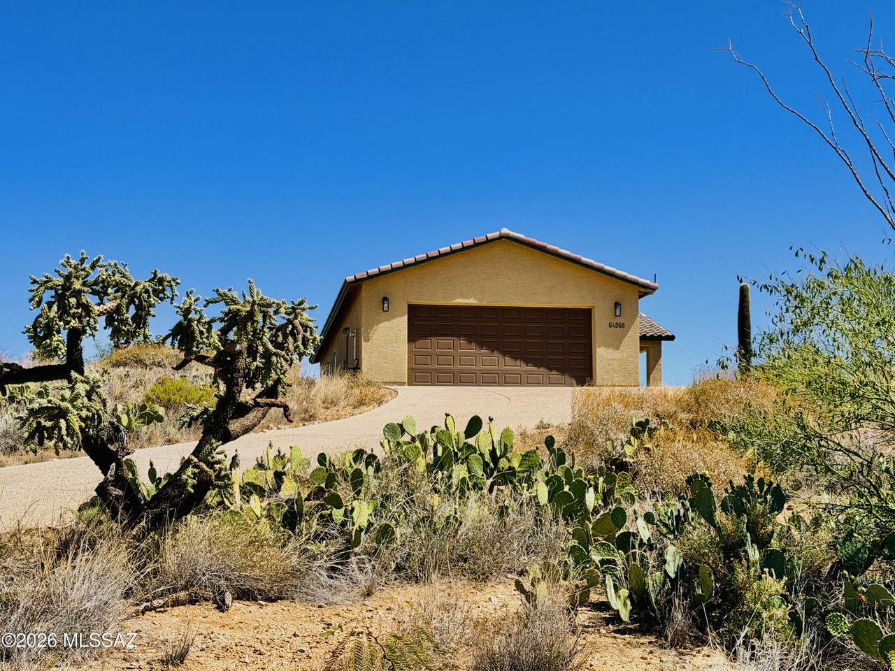 64568 Calle Rosa Linda - Photo 1