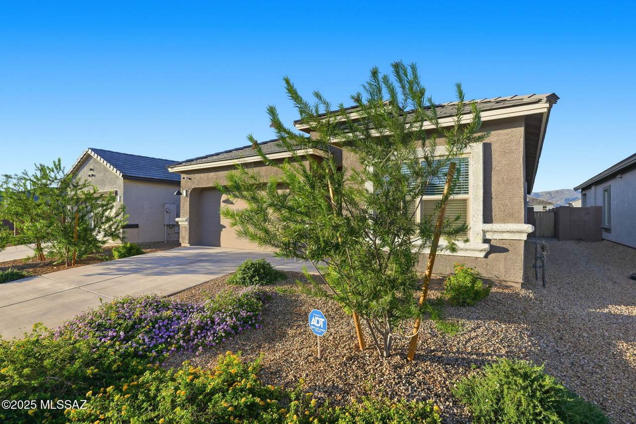 https://bt-photos.global.ssl.fastly.net/tucson/1280_boomver_1_22611539-2.jpg