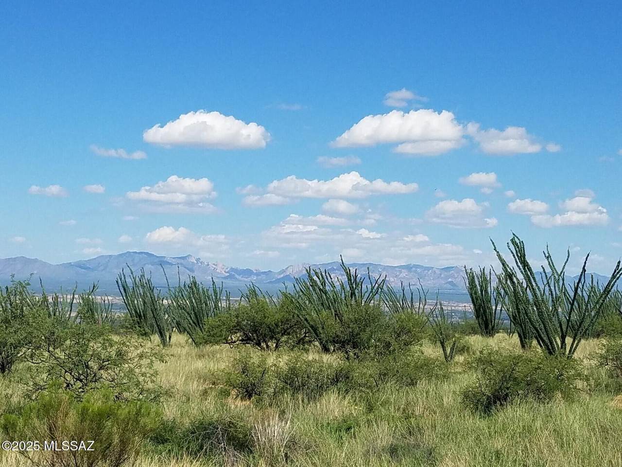 https://bt-photos.global.ssl.fastly.net/tucson/1280_boomver_1_22611651-2.jpg