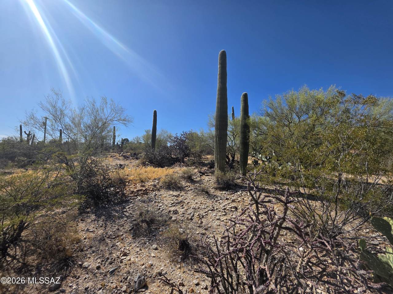 https://bt-photos.global.ssl.fastly.net/tucson/1280_boomver_1_22611660-2.jpg