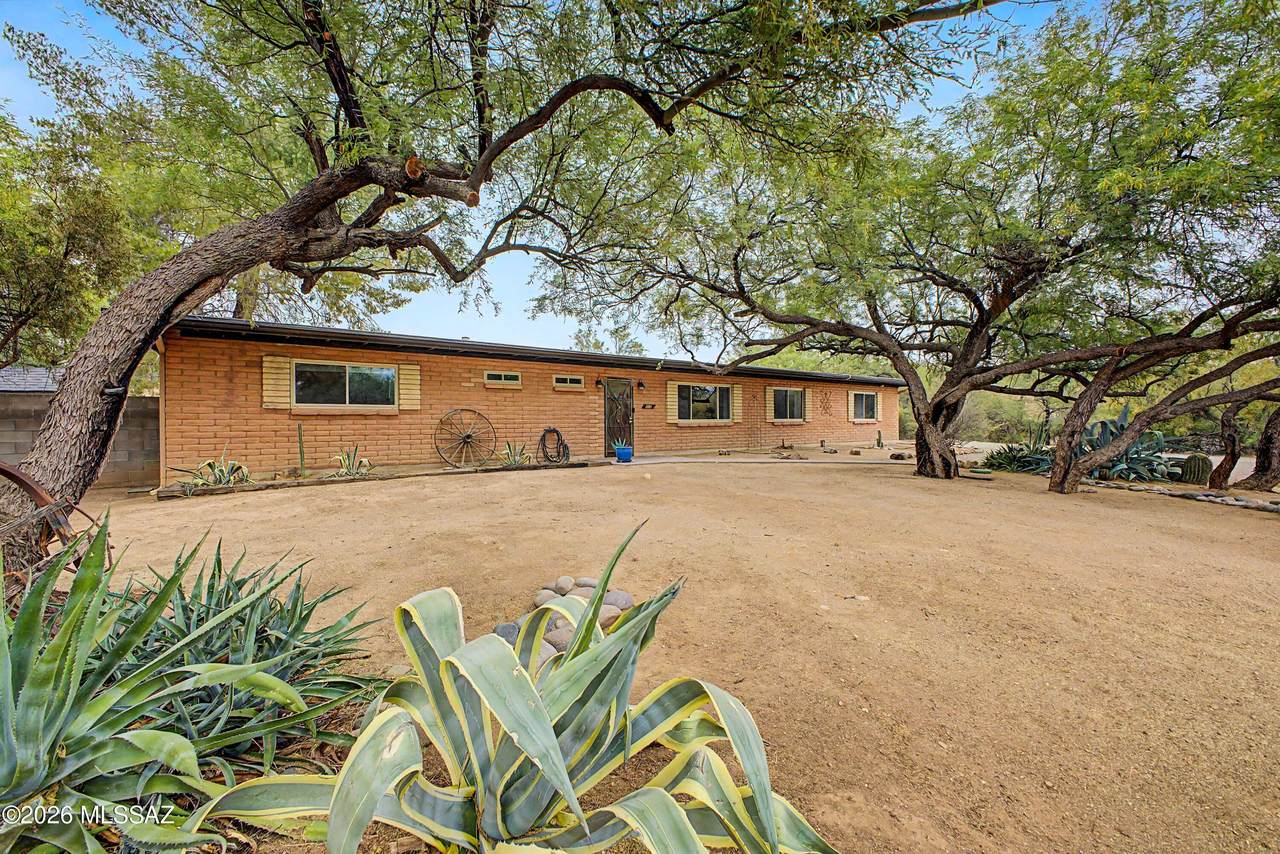 11141 Quick Draw Place - Photo 1