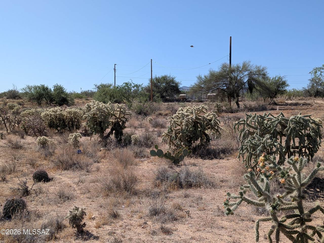 https://bt-photos.global.ssl.fastly.net/tucson/1280_boomver_1_22612278-2.jpg