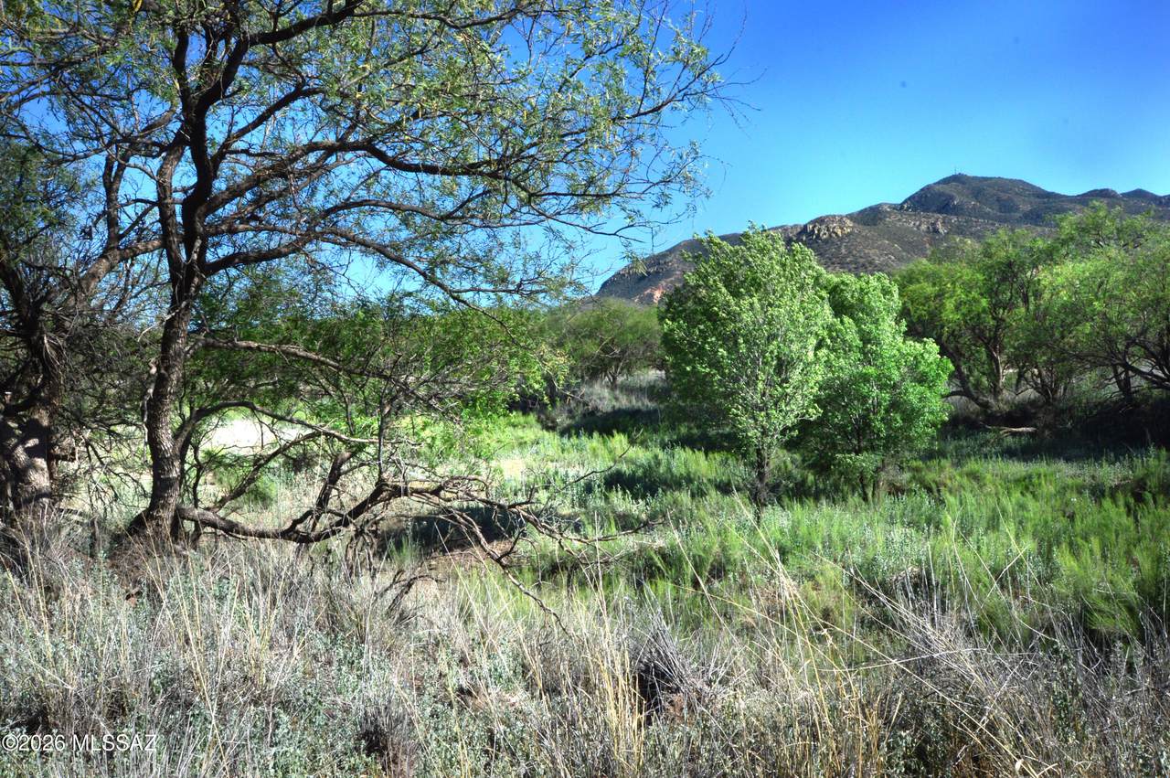  Redrock Drive - Photo 1