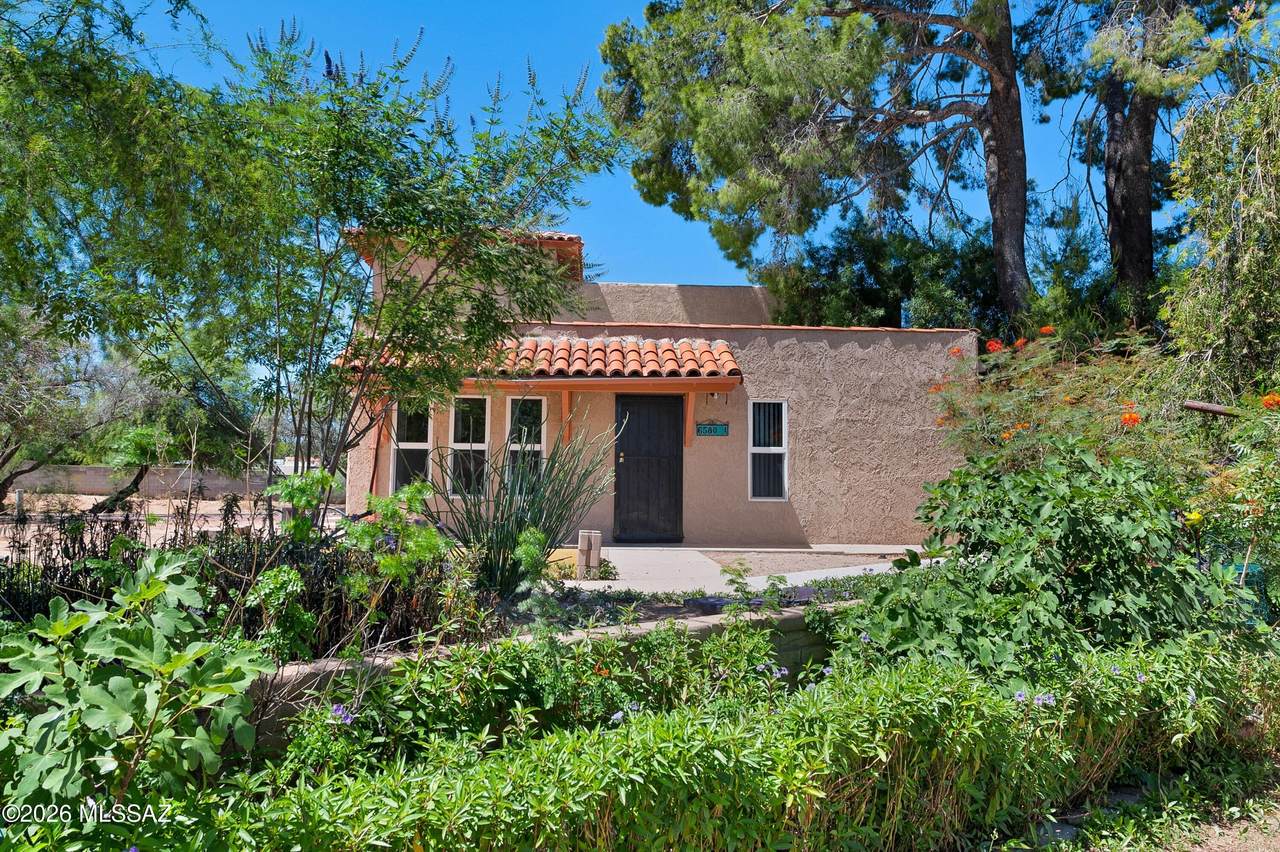 6580 Calle La Paz - Photo 1
