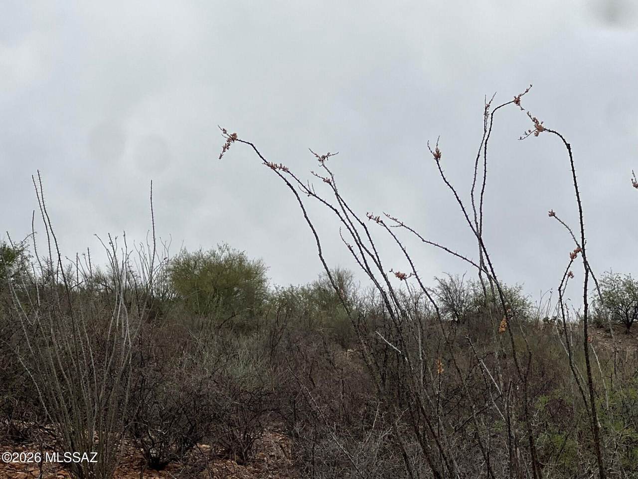 https://bt-photos.global.ssl.fastly.net/tucson/1280_boomver_1_22613667-2.jpg