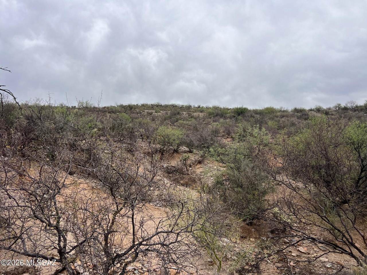 https://bt-photos.global.ssl.fastly.net/tucson/1280_boomver_1_22613667-2.jpg